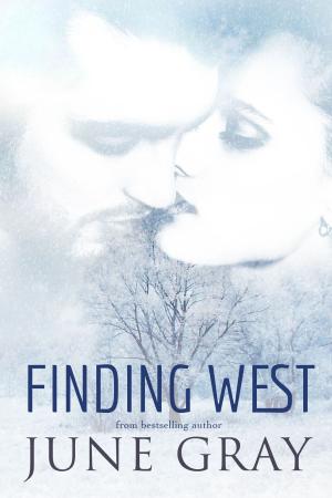 bigCover of the book Finding West by 