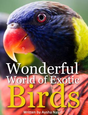 Cover of the book Wonderful World of Exotic Birds by Patsy Whittle