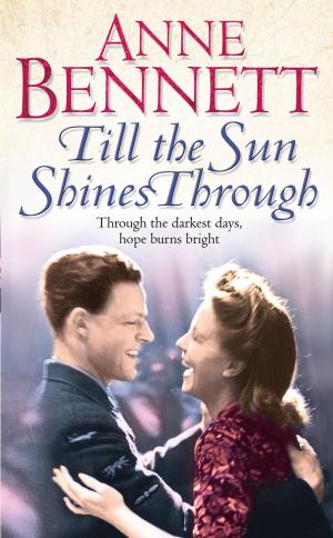 Book cover of Till the Sun Shines Through