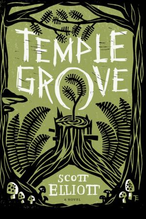 Cover of the book Temple Grove by Tom Gleason