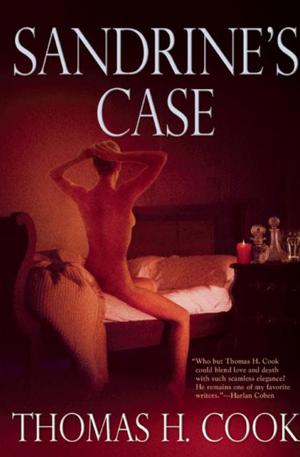 Cover of the book Sandrine's Case by J. P. Donleavy