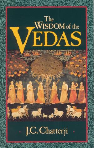 Cover of the book The Wisdom of the Vedas by Lex Hixon