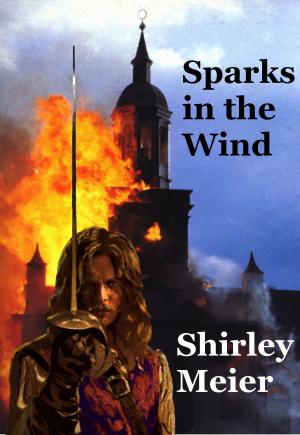 Cover of the book Sparks in the Wind by G.N.Paradis