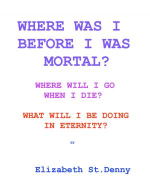 Cover of the book Where Was I Before I Became Mortal? by Nikita Assilamehoo