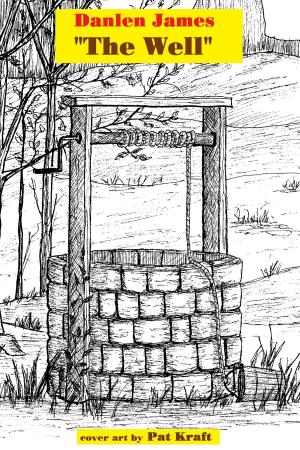 Cover of the book The Well by John Woodcock
