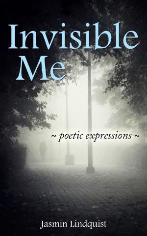 Cover of the book Invisible Me by Darren Zeno