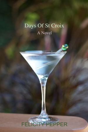 bigCover of the book Days Of St Croix by 