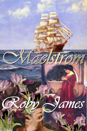 Cover of the book Maelstrom by Roby James