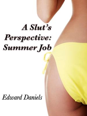 Book cover of A Slut’s Perspective: Summer Job