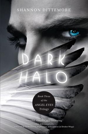 Cover of the book Dark Halo by Jason Lethcoe