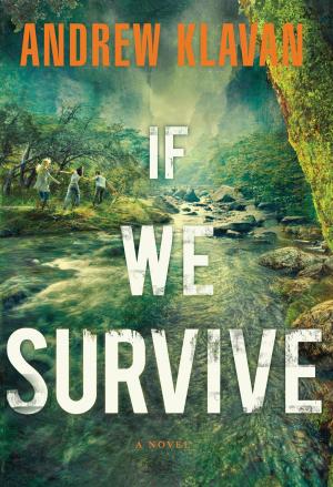 Cover of the book If We Survive by Wesley Spyke