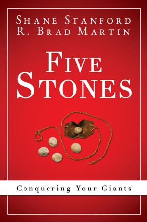 Cover of the book Five Stones by Jessica LaGrone