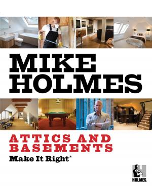 Cover of the book Make It Right: Attics and Basements by 張德良