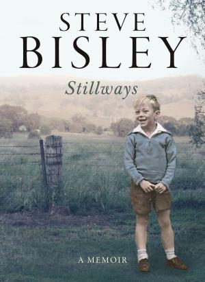Cover of the book Stillways by Denise Young