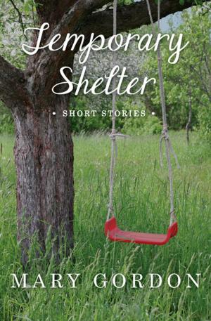 Cover of the book Temporary Shelter by Mack Maloney