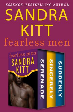Cover of the book Fearless Men by Meryl Sawyer