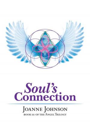 Cover of the book Soul's Connection by Darlene Wandering Sparrow