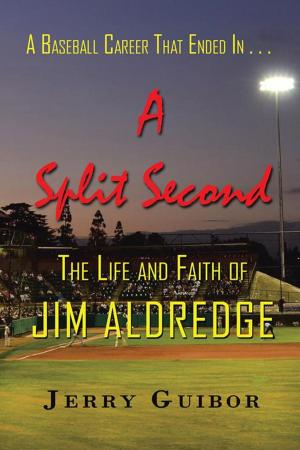 Cover of the book A Baseball Career That Ended in . . . a Split Second by Shirley Hudson