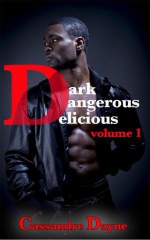 Cover of Dark Dangerous Delicious