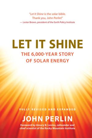 Cover of the book Let It Shine by David Fidelar, Sabrineh Fideler