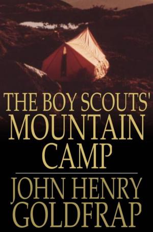 Cover of the book The Boy Scouts' Mountain Camp by Various