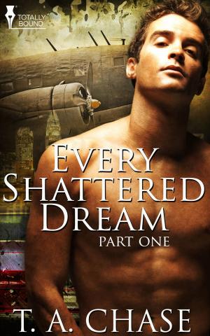 Cover of the book Every Shattered Dream: Part One by Morticia Knight