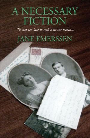 Cover of the book A Necessary Fiction by Mary Tiffen