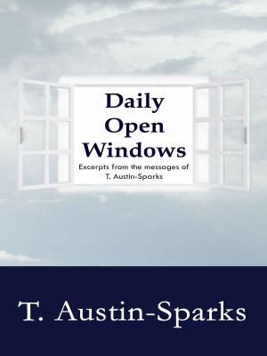 Cover of the book Daily Open Windows by Will Johnson