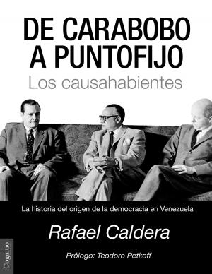 Cover of the book De Carabobo a Puntofijo by Jan Moller, MD