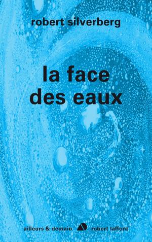 Cover of the book La face des eaux by Catherine BENSAID