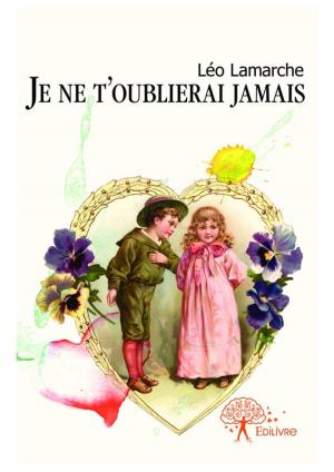 bigCover of the book Je ne t'oublierai jamais by 