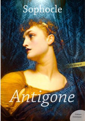 Cover of the book Antigone by Eugène Sue