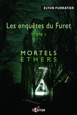 Cover of Les enquêtes du Furet