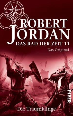 Cover of the book Das Rad der Zeit 11. Das Original by Melissa Marr
