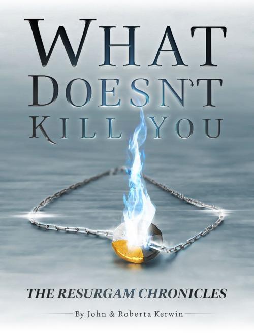 Cover of the book What Doesn't Kill You by Roberta Kerwin, John Kerwin, Original Engine