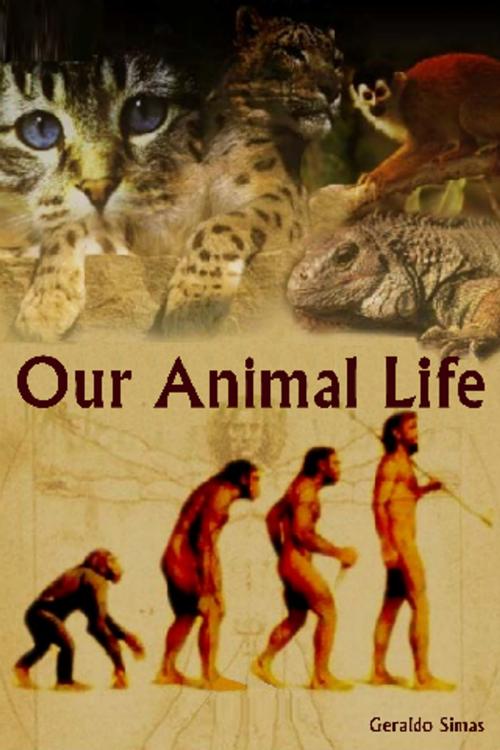 Cover of the book Our Animal Life by Geraldo Simas, Geraldo Simas