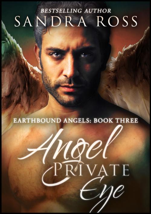 Cover of the book Angel Private Eye (Complete): Earthbound Angels 3 by Sandra Ross, Publications Circulations LLC