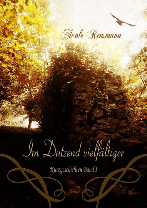 Cover of the book Im Dutzend vielfältiger by Timo Kümmel (Cover), Nicole Rensmann (Autor), NReBooks