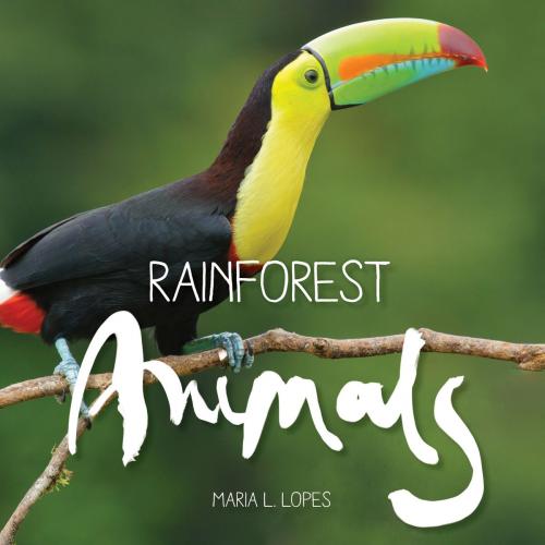 Cover of the book Rainforest Animals by Maria de Lourdes Lopes da Silva, Amazon create space.com