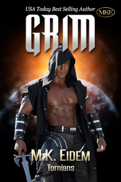 Cover of the book Grim by M.K. Eidem, Turtle Point Publishing, Inc