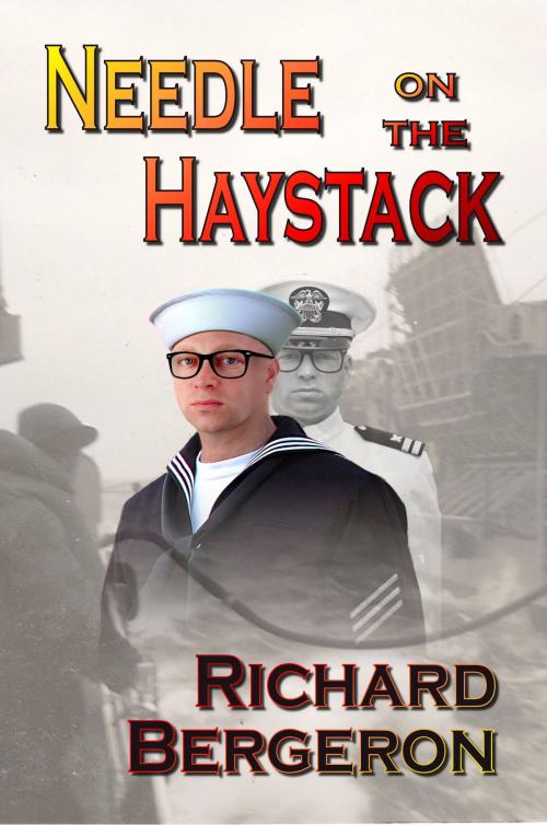 Cover of the book Needle on the Haystack by Richard Bergeron, self published via CreateSpace