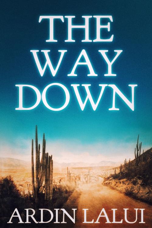 Cover of the book The Way Down by Ardin Lalui, Ardin Lalui