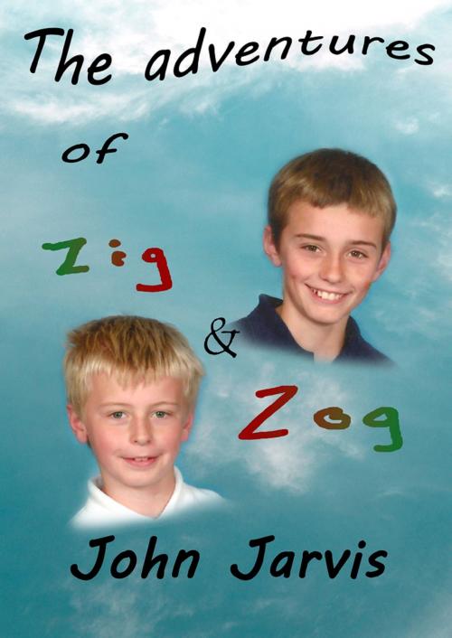 Cover of the book The Adventures of Zig and Zog by John Jarvis, John Jarvis