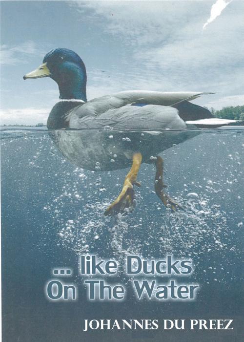 Cover of the book Like Ducks On The Water by Johannes du Preez, Johannes du Preez