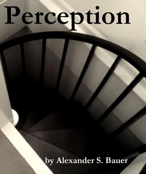 Cover of the book Perception by Alexander S. Bauer, Alexander S. Bauer