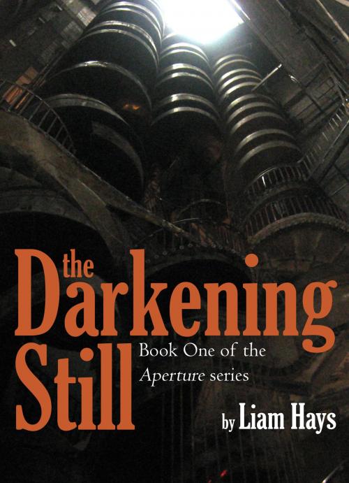 Cover of the book The Darkening Still by Liam Hays, Liam Hays