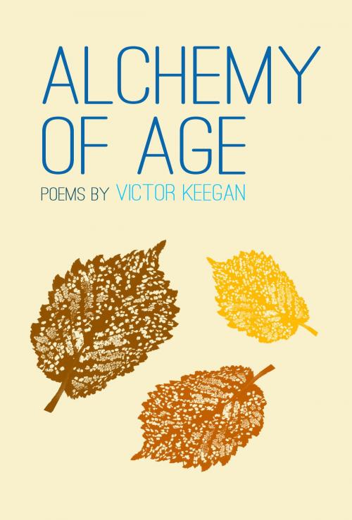 Cover of the book Alchemy of Age by Victor Keegan, Victor Keegan