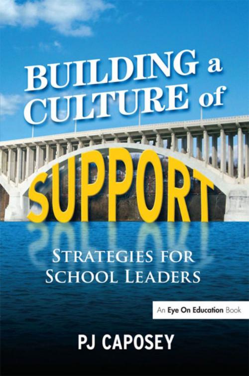 Cover of the book Building a Culture of Support by P J Caposey, Taylor and Francis