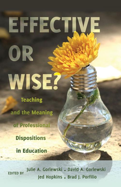 Cover of the book Effective or Wise? by , Peter Lang