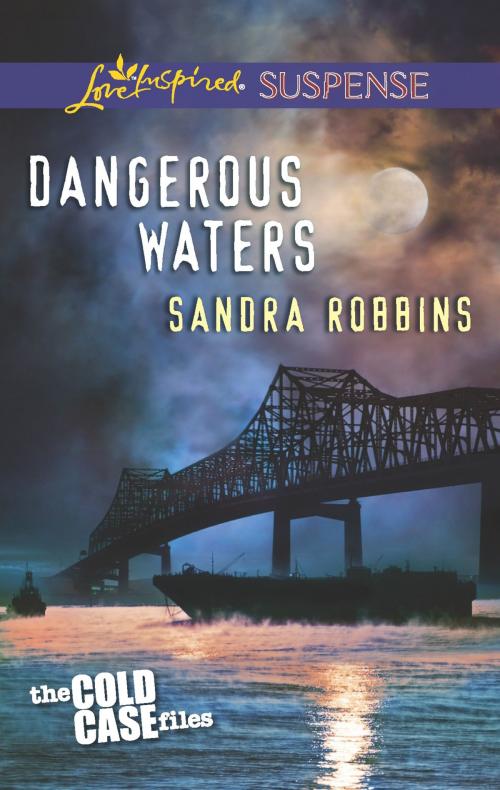 Cover of the book Dangerous Waters by Sandra Robbins, Harlequin